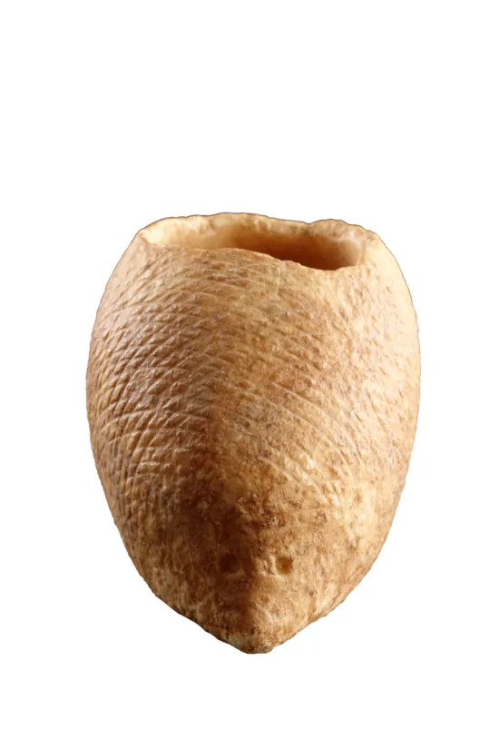 Mini image